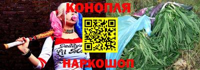 скорость Новозыбков